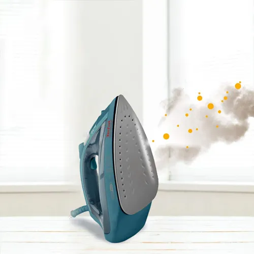 EcoMaster Steam Iron